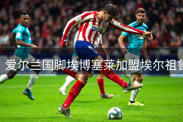 爱尔兰国脚埃博塞莱加盟埃尔祖鲁姆，土超升班马补强后防